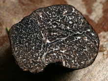 Load image into Gallery viewer, Périgord Truffle Bits (16g)